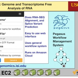 GT-FAR – Genome and Transcriptome Free Analysis of RNA