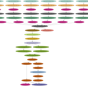 Children’s Hospital of Philadelphia Pediatric Genome Analysis