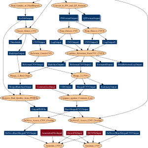 Combined CNV Detection