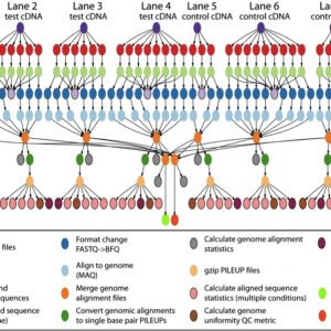 Epigenomics