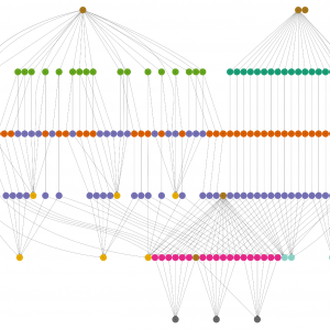 Association Mapping and Population Genetics in Vervets