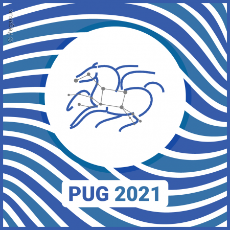 Pegasus Users Workshop 2021